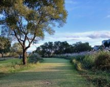 화순파크골프장 예약 방법