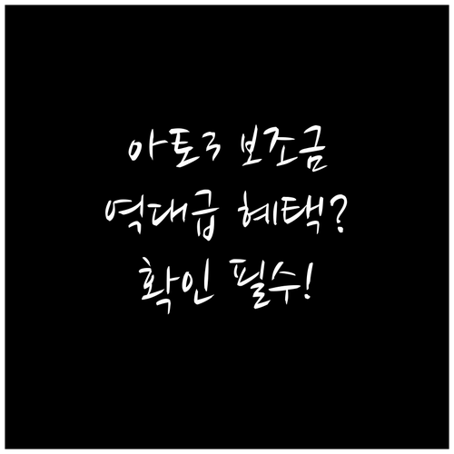 BYD 아토 3 예상 국고 보조금 및..