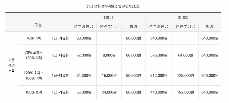 1급 유형 지원 내용 표 이미지