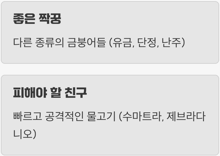 순한 성격의 룸메이트 고르기