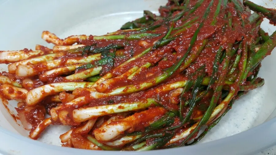 파김치 맛있게 담그는법 황금레시피 꿀팁_1