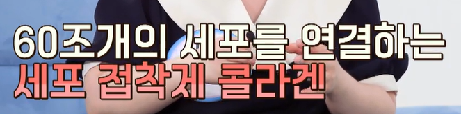 비오틴 효능