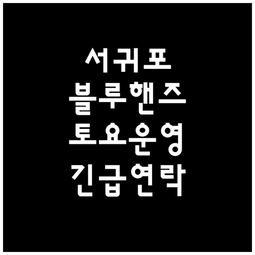 서귀포 블루핸즈 영업시간과 토요일 운..