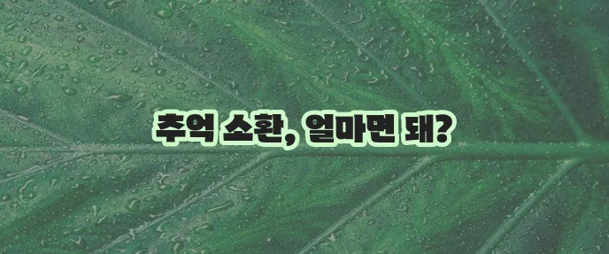 스타크래프트 리마스터 가격, 다운로드 설치