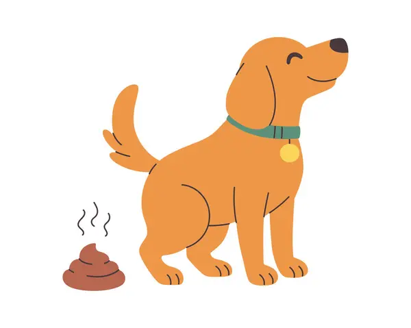 강아지 여름철 배변 이미지