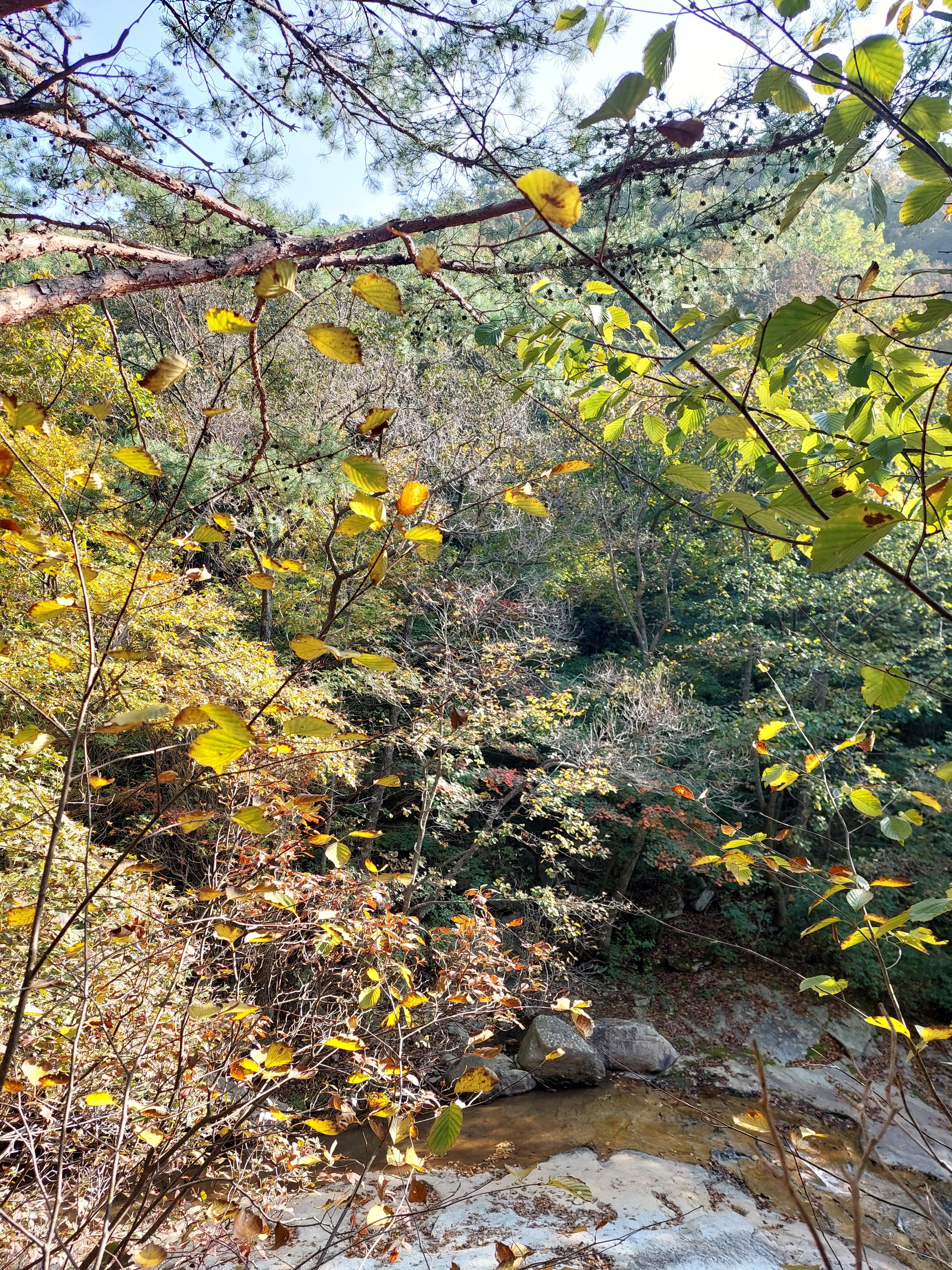 명성산