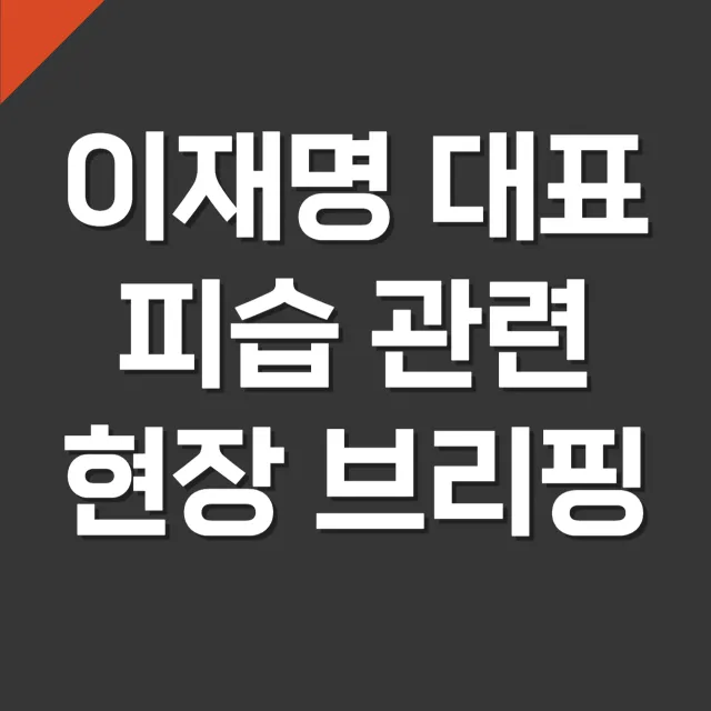 이재명 대표 피습