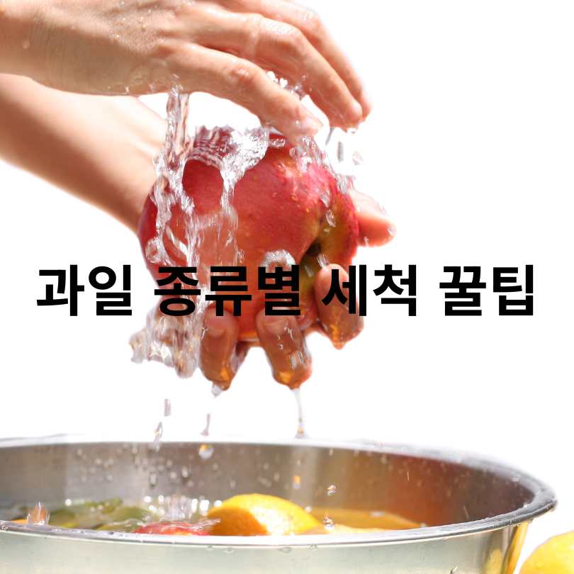 과일세척방법