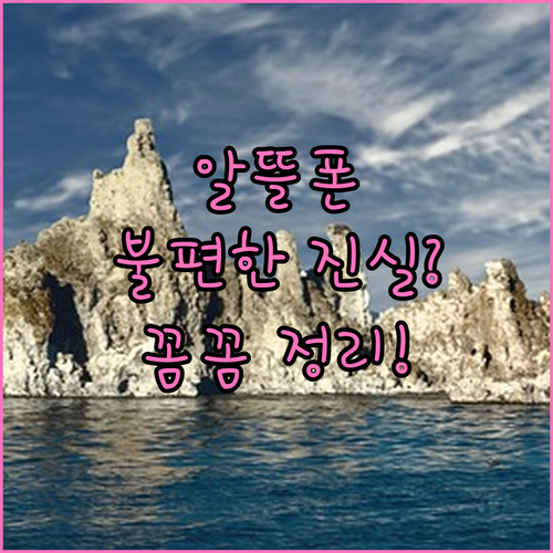 알뜰폰의 불편한 진실? 유플러스 알뜰
