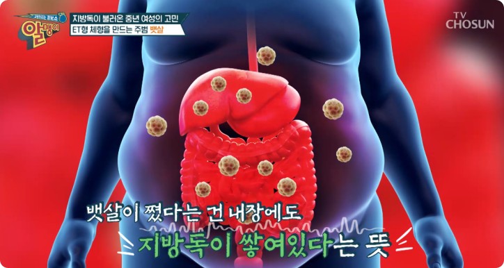 지방독 차전자피추출물로 배출