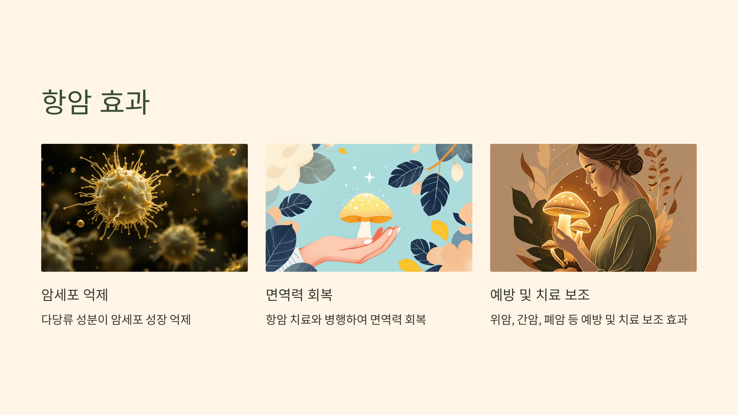 상황버섯 사진입니다.