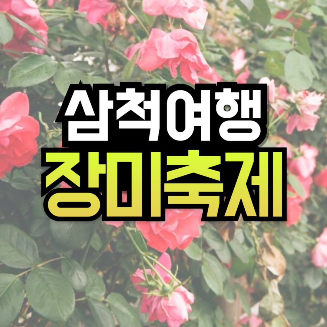 삼척 오십천 장미축제 일정 입장료 공연