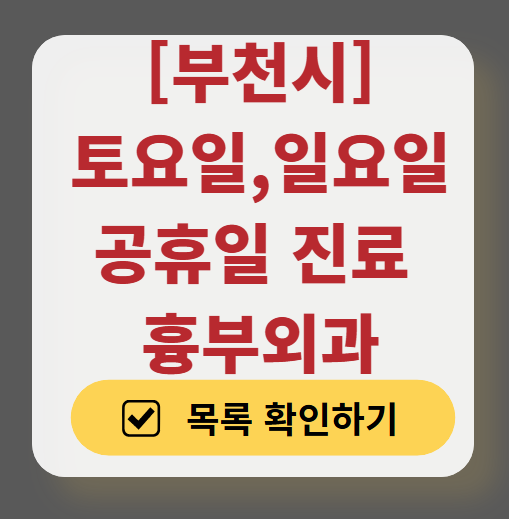 부천시 주말 토요일 일요일 흉부외과 진료 병원 목록 ❘ 공휴일 진료 영업 병원 리스트 찾기