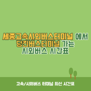 세종고속시외버스터미널에서 당진버스터미널 가는 시외버스 시간표 최신정보