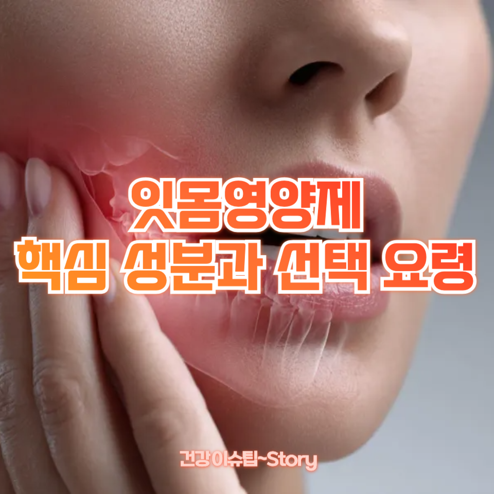 잇몸영양제 핵심 성분과 선택 요령