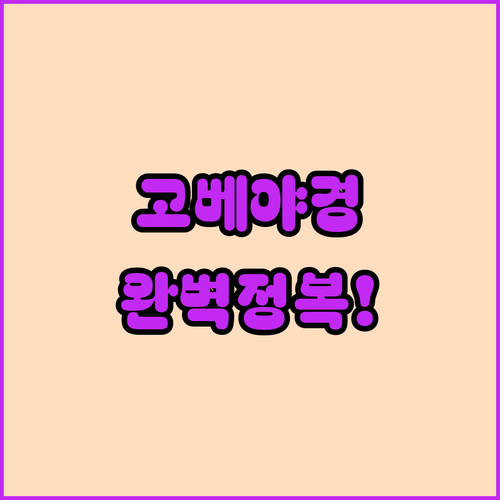 고베 야경 투어 코스 하버랜드 크루즈..