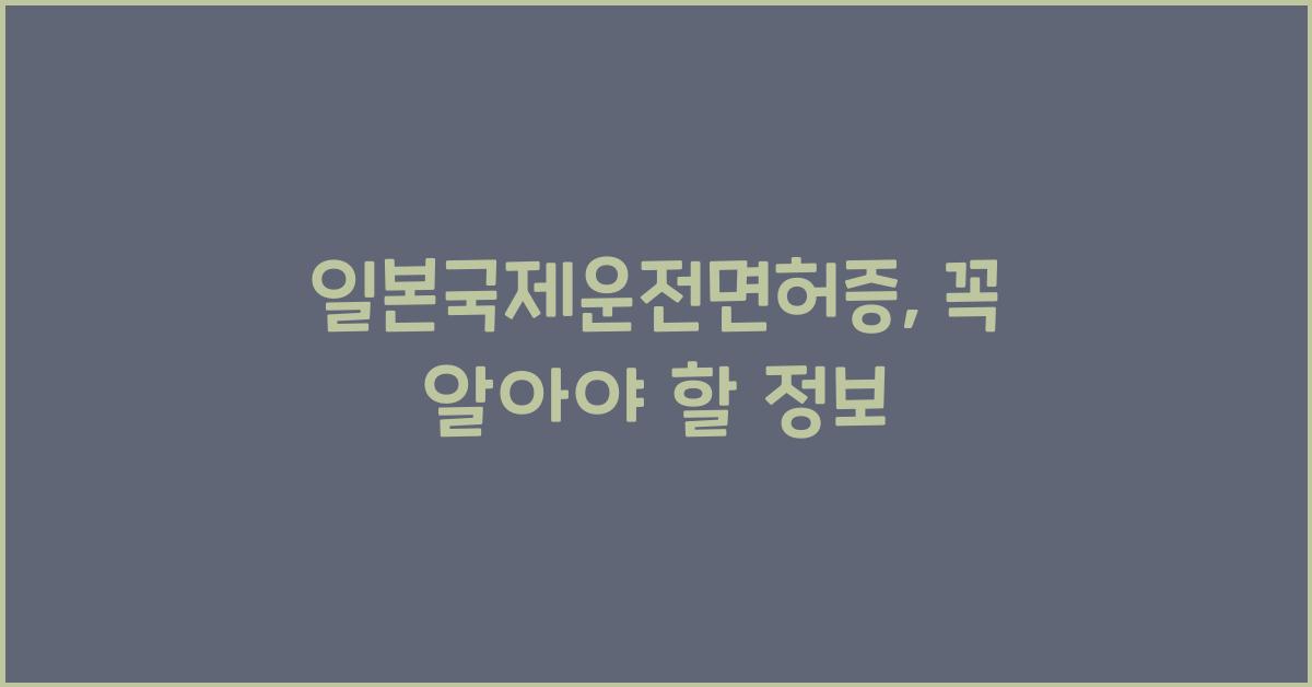 일본국제운전면허증