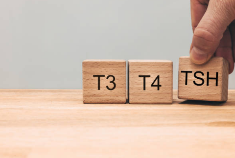 갑상선 기능 저하증 증상&amp;#44; 좋은음식&amp;#44; 수치 총정리 (2024ver)