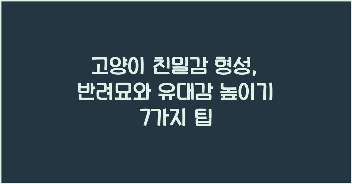 고양이 친밀감 형성, 반려묘와 유대감 높이기