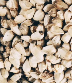 홍화씨 효능 홍화씨 가격 홍화씨 환 홍화씨 먹는법 홍화씨 분말