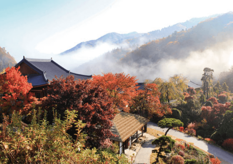 서울근교 단풍명소 추천