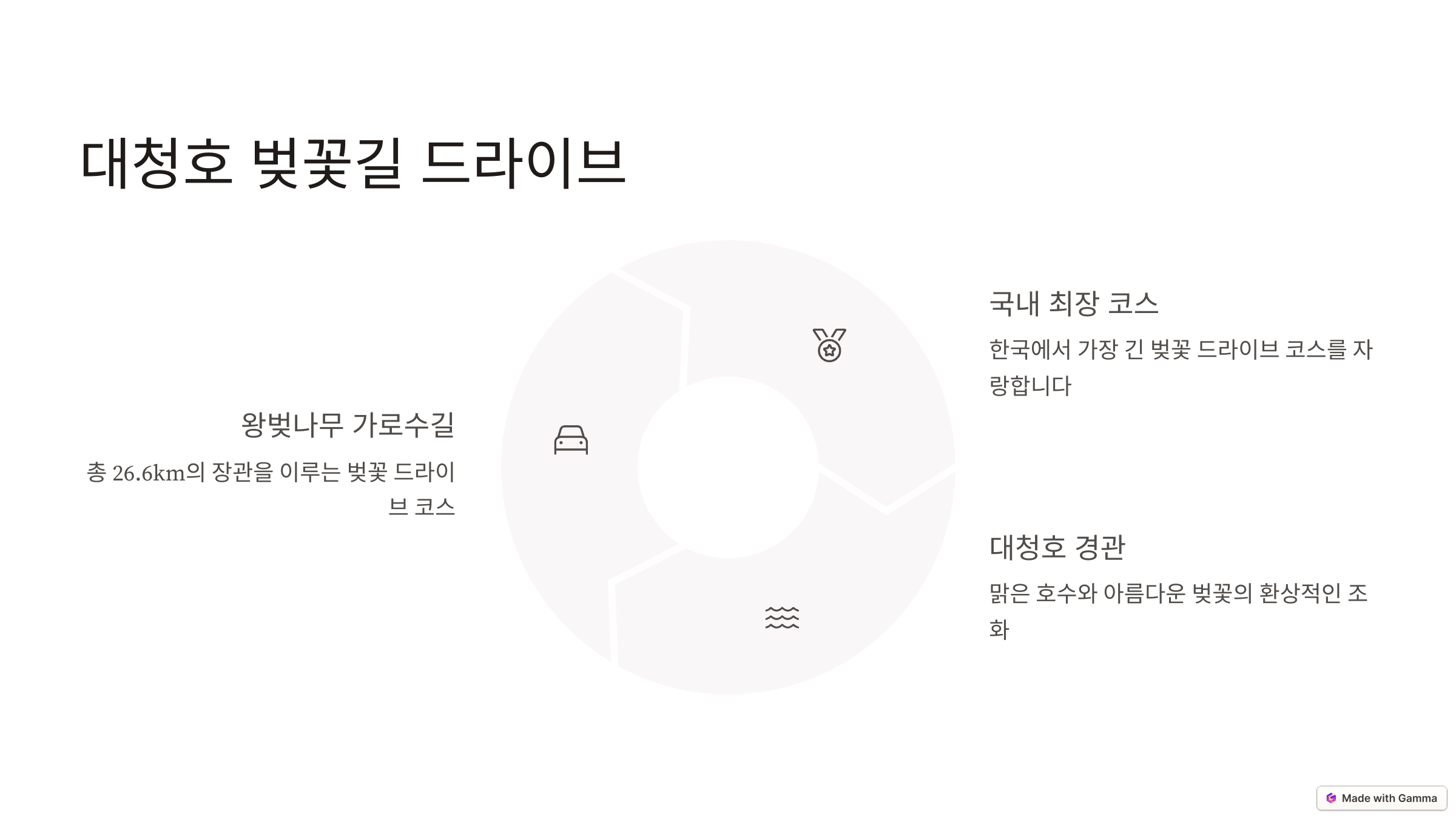 대청호 벚꽃축제