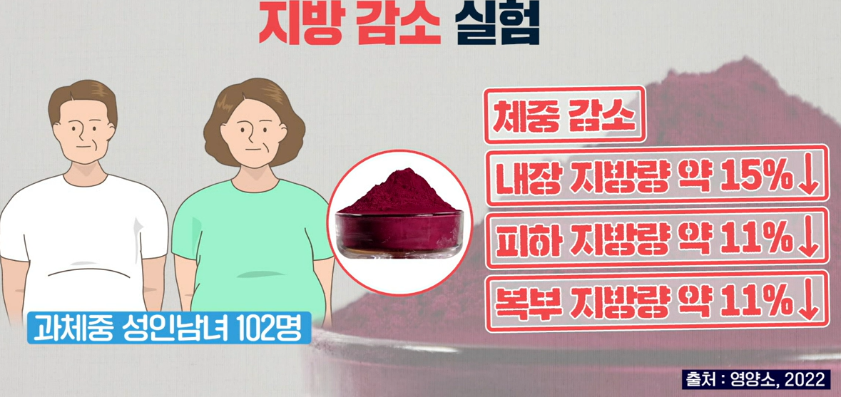 모로실 효능