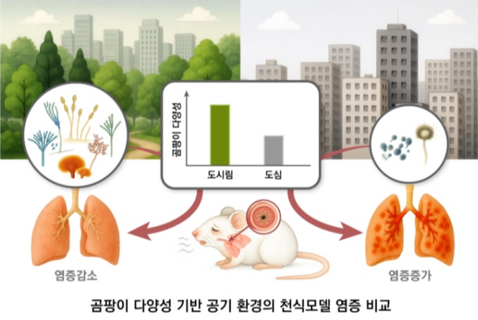 서울 도시숲의 숨은 건강 기능 : 곰팡이 다양성이 알레르기를 낮춘다