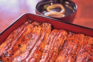 콜라겐-효능-많은-음식-장어-2