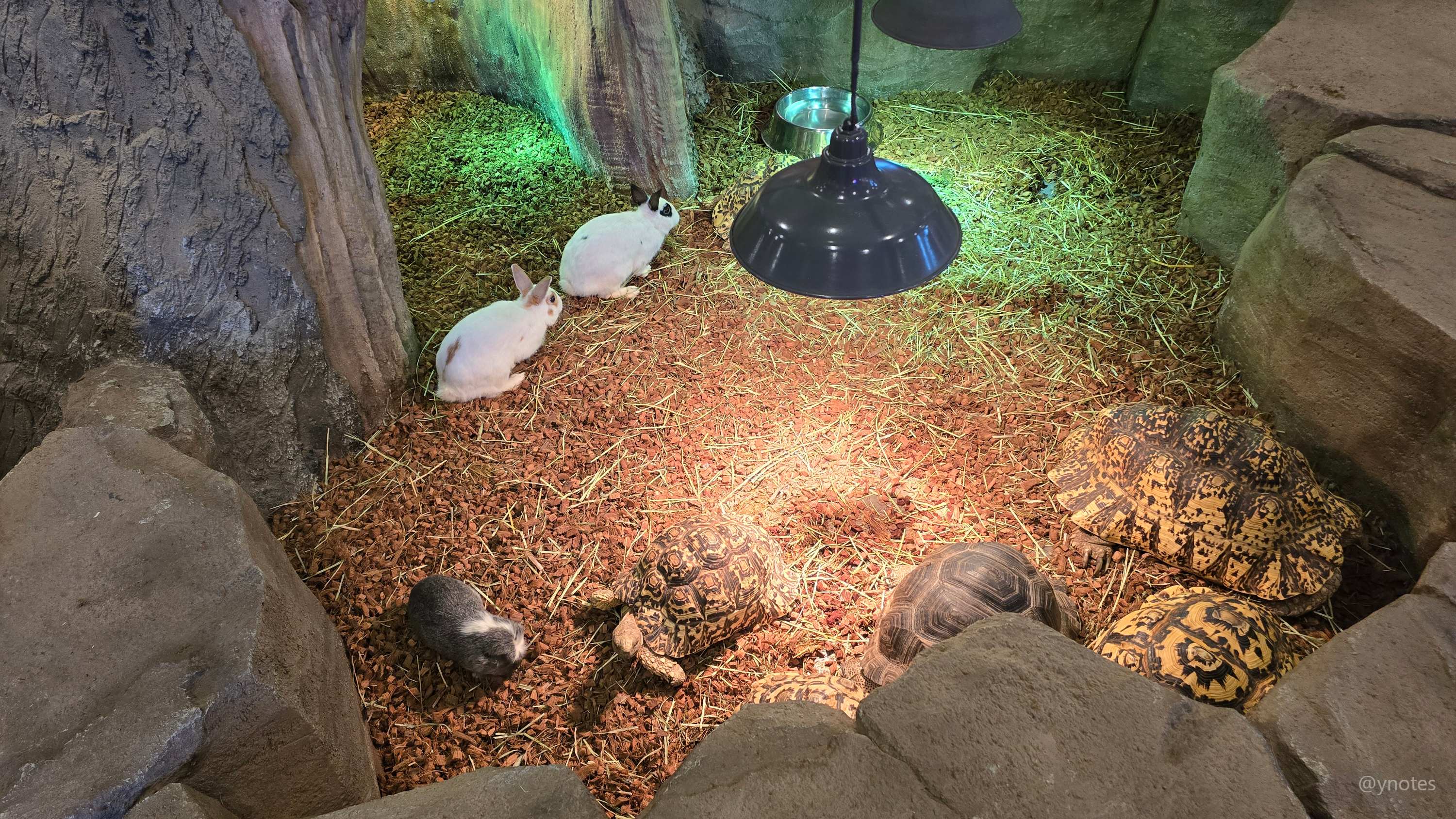 쥬뗌므 키즈랜드