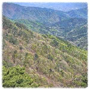 치악산