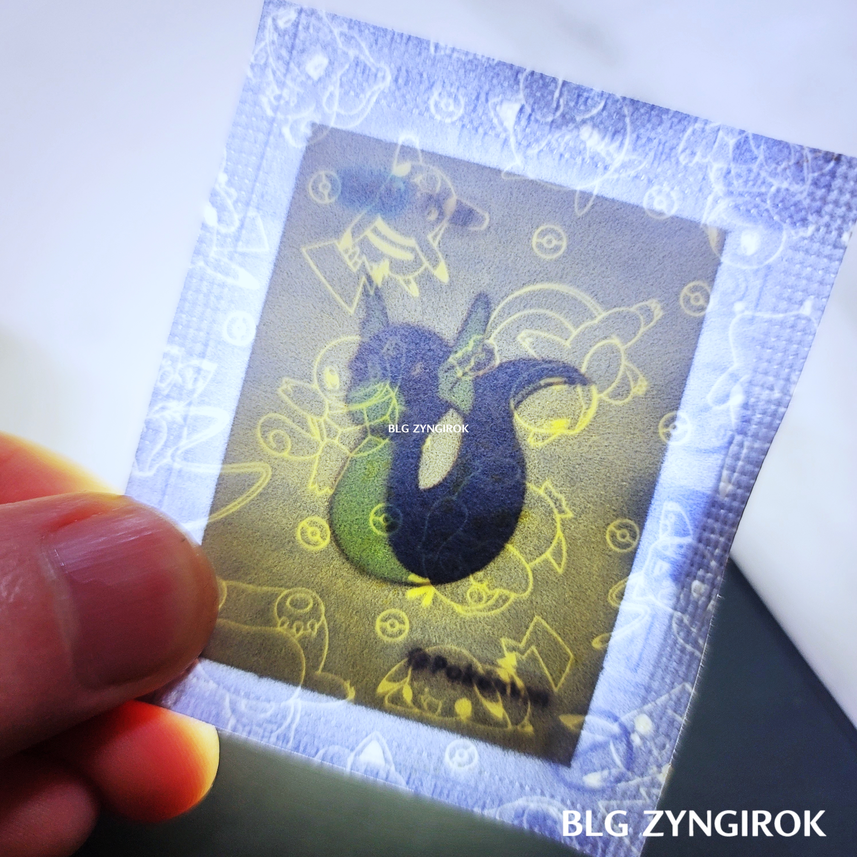 띠부띠부씰-미뇽을-들고있다.