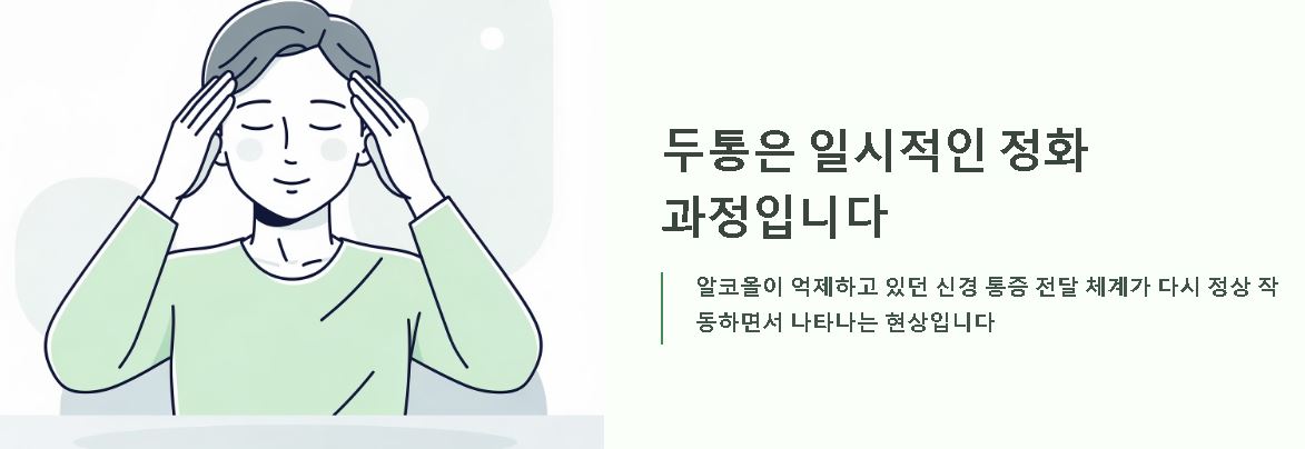 금주후 신체변화