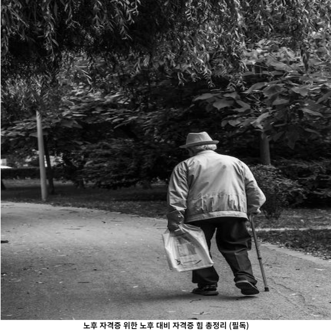 노후 자격증 vs 노후대비 자격증 어떤 것을 선택해야 할까요?