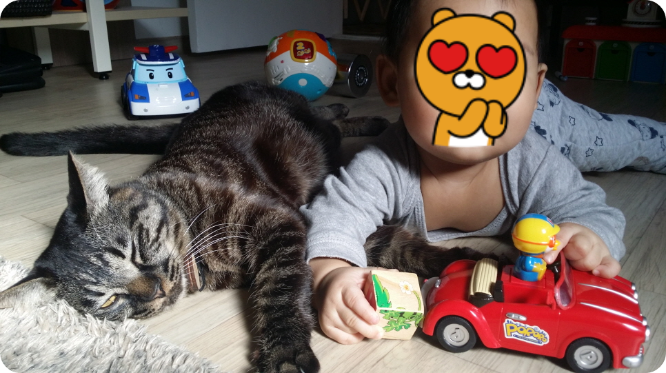 아이와 고양이는 좋은 친구다.
