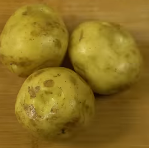 감자전-만드는-재료