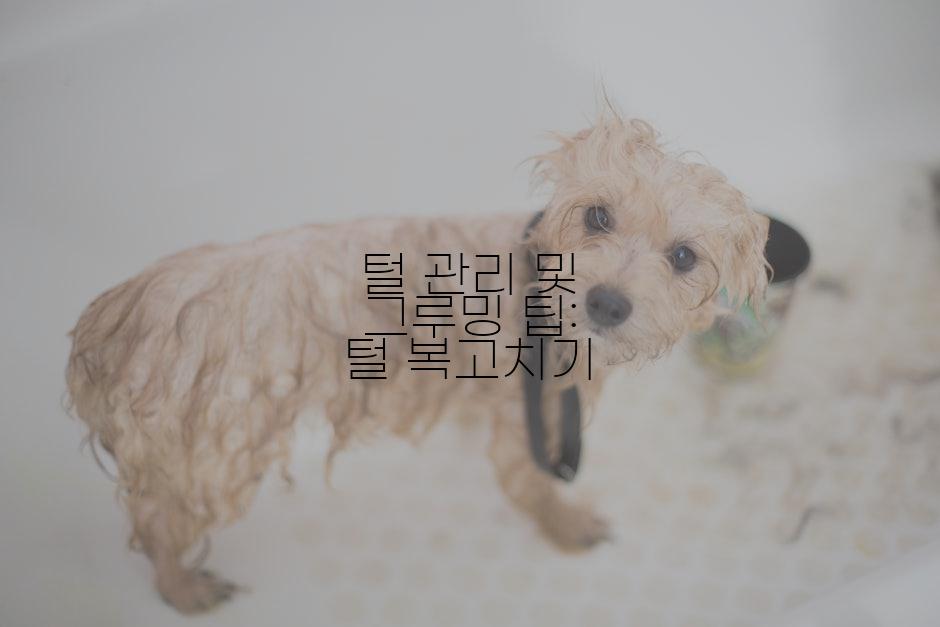 털 관리 및 그루밍 팁: 털 복고치기
