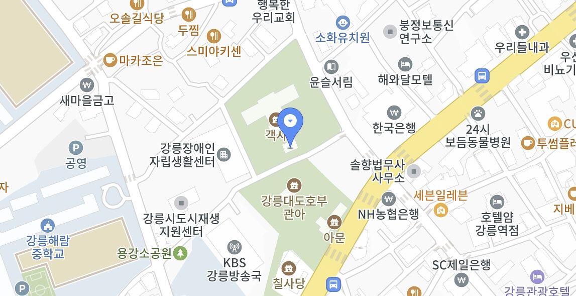 빵터지는 강릉 빵 페스타