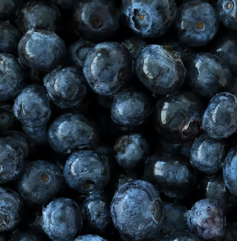 췌장염에 좋은 음식 영양제 식단