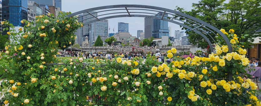 나카노시마 장미원