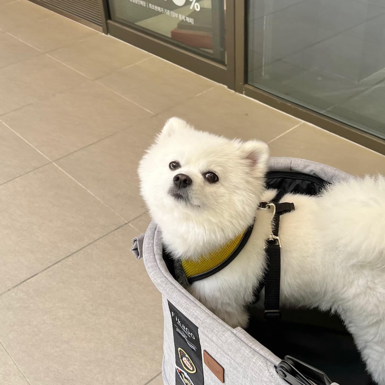 의왕 타임빌라스 애견 동반