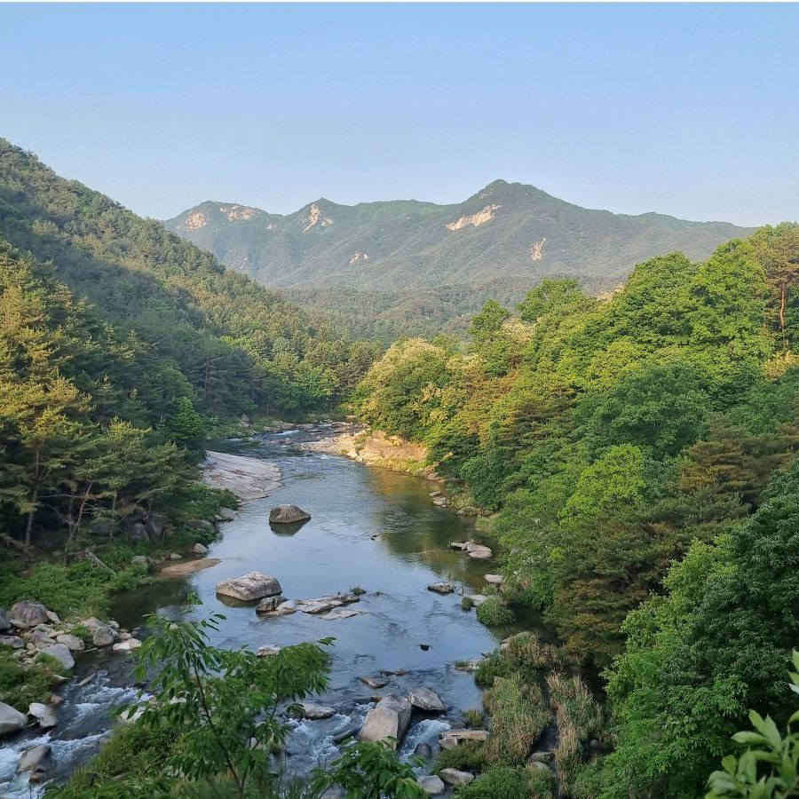 수승대출렁다리