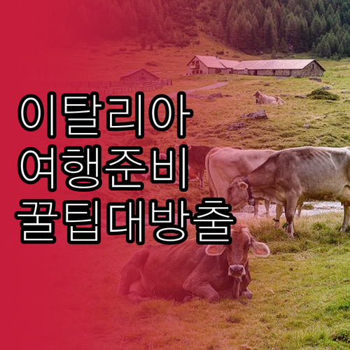이탈리아 여행 필수 정보: 준비물, ..