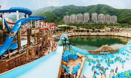 비발디파크 오션월드 운영시간