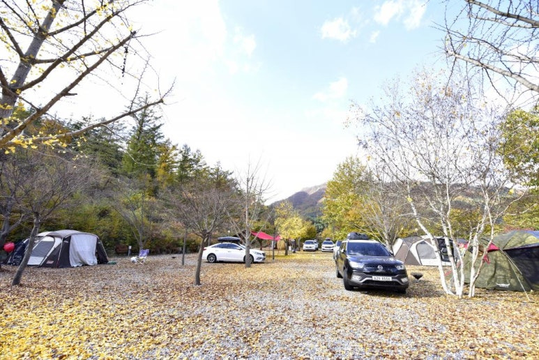 가평 '늘푸른쉼터' 캠핑장 미리보기