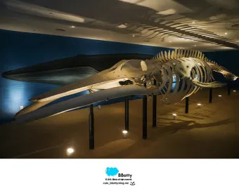 아이와 제주 여행 제주 민속 자연사박물관 예매 코스 가이드_6