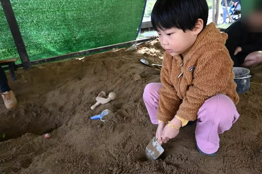 양평 아이들하고 가볼만한 양평양떼목장 사진 19