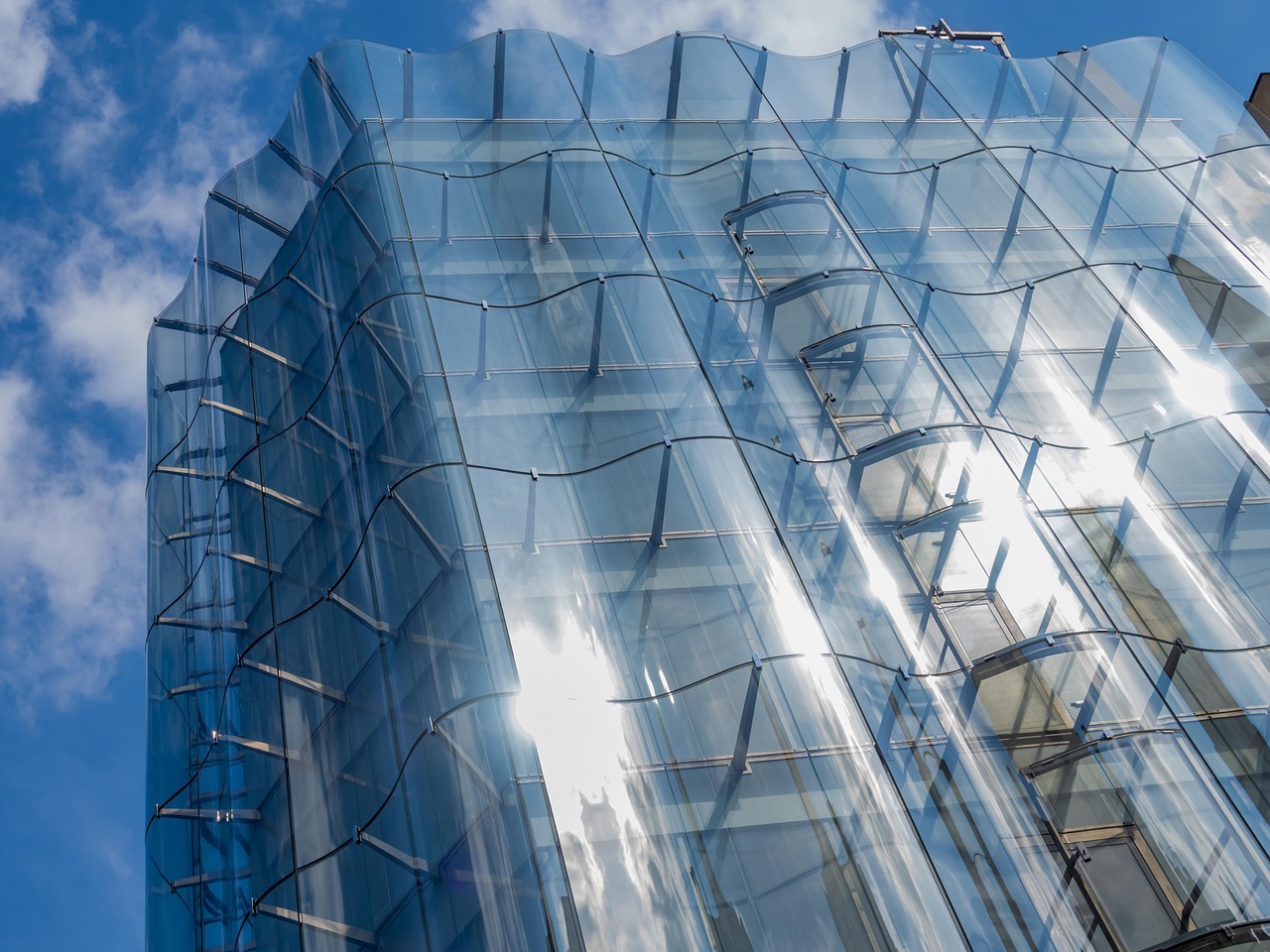 청년 주도의 AI 도시 설계 캠페인