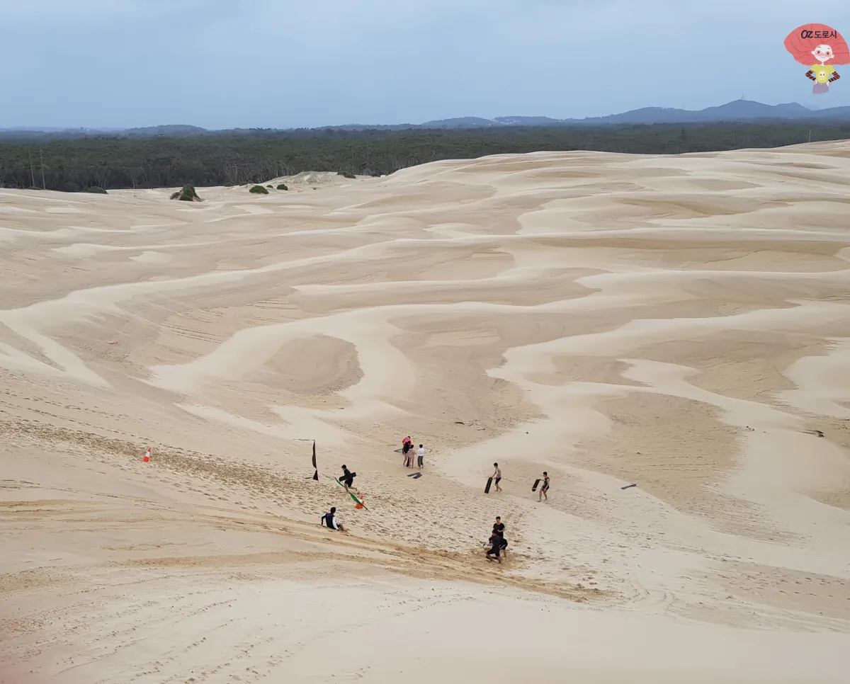 호주-시드니-근교여행-포트-스테판-모래언덕