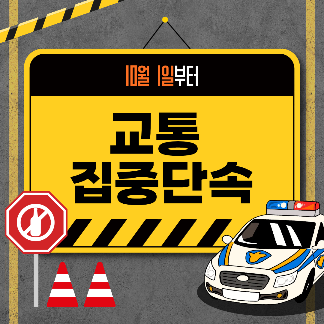 10월 1일 교통단속
